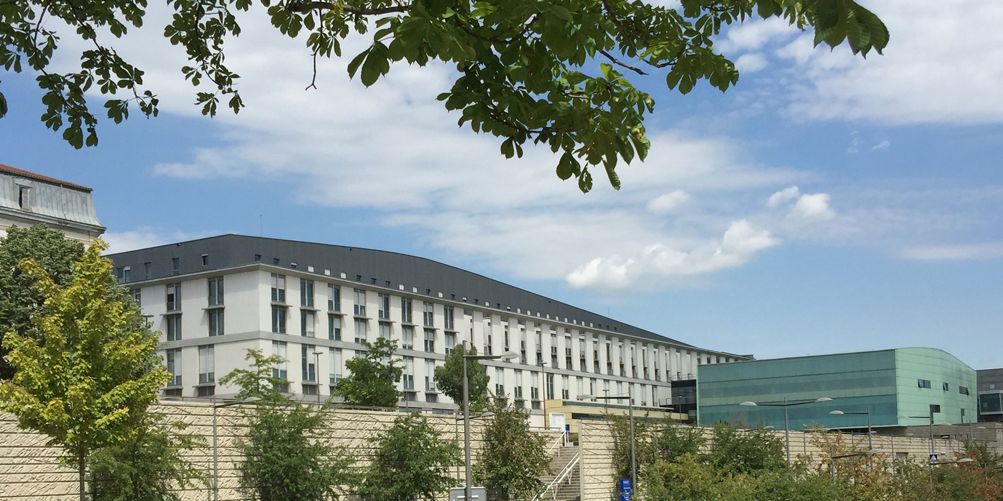 Chirurgien Othopédiste Hopital de Lyon